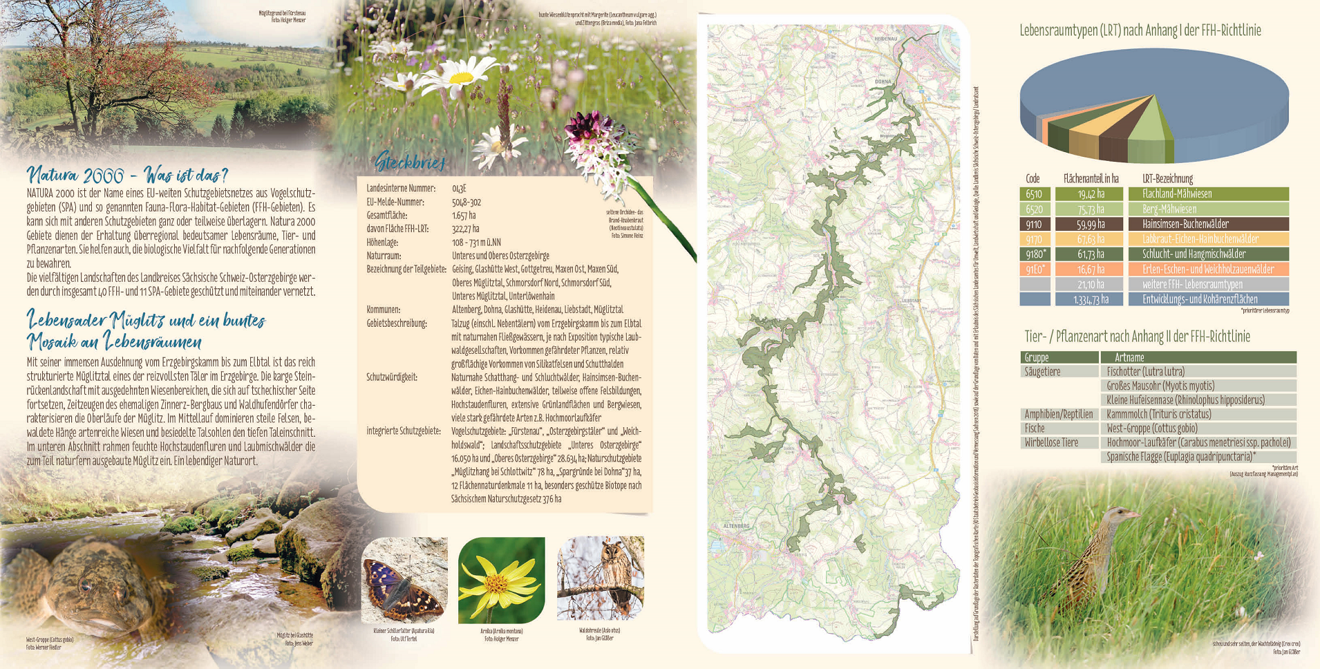 tl_files/downloads/Bilder Projekte/Projektstellen/Natura 2000 1.0/Flyer/FFH-Gebiet_Mueglitztal_2.png